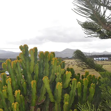 Casa Rural Mimosa Villa